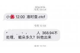 温宿为什么选择专业追讨公司来处理您的债务纠纷？